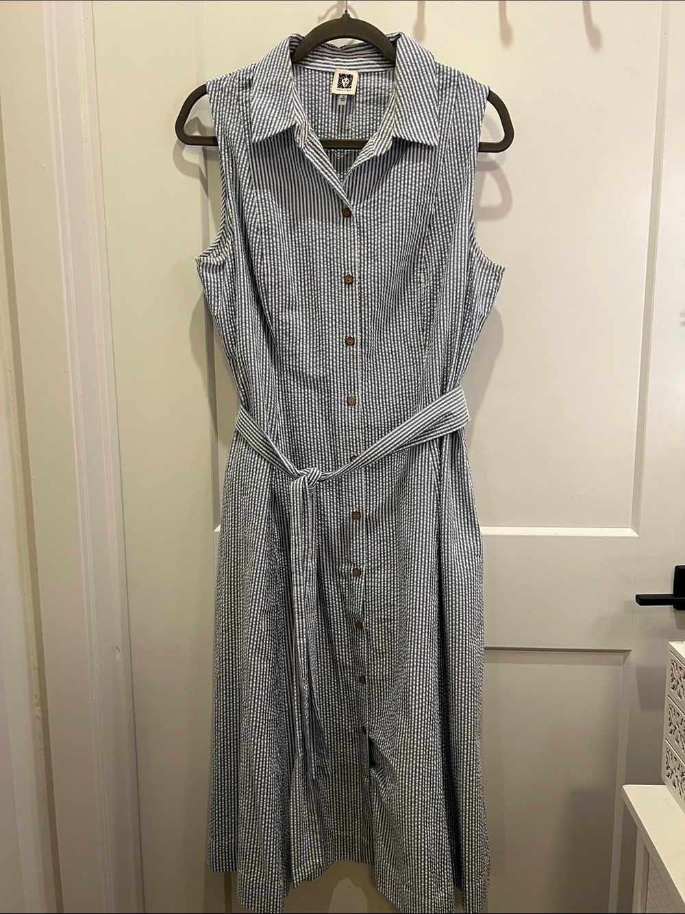 Sleeveless Blue Striped Shirt Dress with Belt - Anne Klein